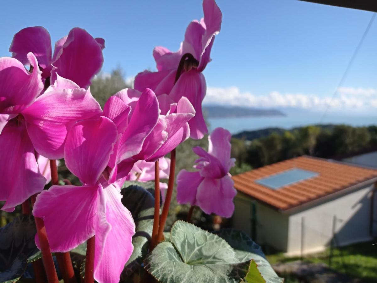 Apartmán Le Vigne Di Lenf Porto Venere Exteriér fotografie