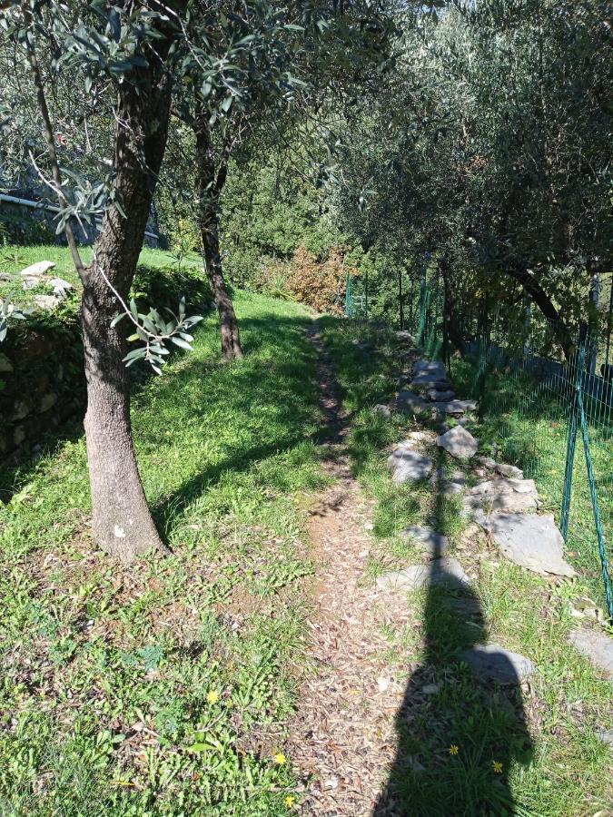 Apartmán Le Vigne Di Lenf Porto Venere Exteriér fotografie
